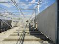 project42_1409552438_thumbnail_DSC00740.JPG