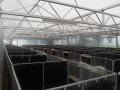 project23_1377243189_thumbnail_DSCN1846.JPG