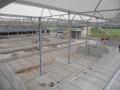 project56_1443162922_thumbnail_DSCN5854.JPG