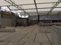 project56_1446102830_thumbnail_IMG_0315.JPG