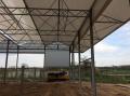 project71_1491217436_thumbnail_IMG_4157.JPG