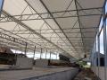 project81_1529312380_thumbnail_IMG_7050.JPG