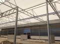 project81_1529906010_thumbnail_IMG_7122.JPG