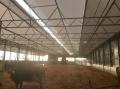 project83_1554367730_thumbnail_IMG_8543.JPG