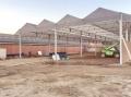 project85_1554377289_thumbnail_IMG_2235.JPG
