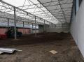 project85_1554377514_thumbnail_IMG_2254.JPG