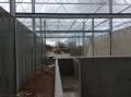 project87_1554378398_thumbnail_IMG_2345.JPG
