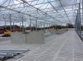 project87_1554378435_thumbnail_IMG_2381.JPG