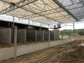 project88_1575457612_thumbnail_IMG_5078.JPG