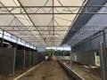 project88_1575457675_thumbnail_IMG_5083.JPG