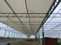 project95_1575542207_thumbnail_IMG_0001.JPG