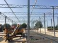 project99_1600753141_thumbnail_IMG_5611.JPG